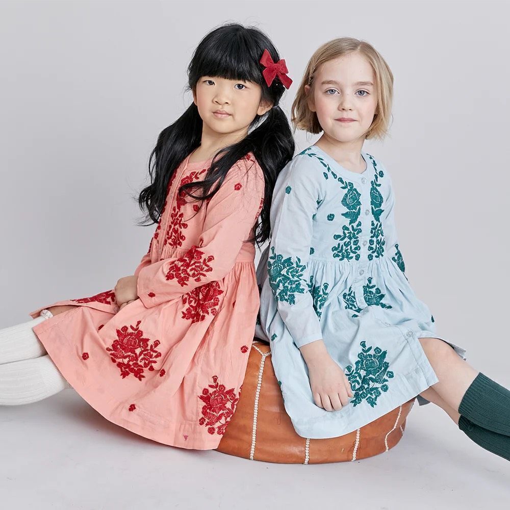 Pink Chicken Jocelyn Dress Size 10 year Embroidered Floral